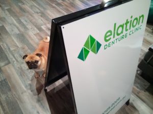 Pug dog at Elation Denture Clinic sign